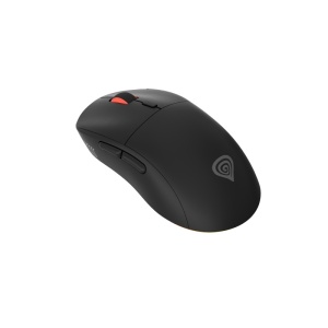 GENESIS Zircon XIII mouse