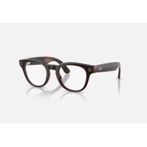 RAY-BAN META SCRIBER OPTICS GEN 2 Shiny Transparent Umber/ Demo Lens