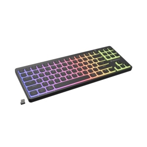 Tastatura Mecanica Gaming GENESIS Thor 430 TKL Wireless, RGB, Wireless, negru