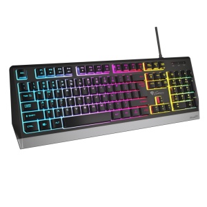 GENESIS Rhod 300 RGB. Keyboard form factor: Full-size (100%). Keyboard style: Straight. Connectivity technology: Wired, Device interface: USB, Keyboard key switch: Membrane, Keyboard layout: QWERTY, Keyboard number of keys: 104. Backlight type: RGB LED.