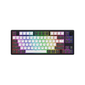 HATOR Skyfall Pro Wireless 80. Keyboard form factor: 80%. Keyboard style: Straight. Connectivity technology: Wired & Wireless, Device interface: USB + RF Wireless + Bluetooth, Keyboard key switch: Mechanical, Keyboard layout: QWERTY. Backlight type: RGB