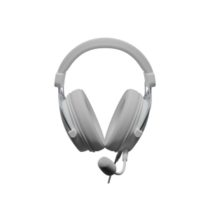 Casti gaming cu fir Genesis Toron 531, sunet stereo, microfon, impendanta 32 Ohm, frecventa raspuns 20 - 20.000 Hz, lungime cablu 100cm, frecventa raspuns microfon 100 Hz - 10 KHz, sensibilitate -42dB, impendanta microfon 2200 Ohm, conectivitate 3x Jack