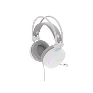Casti gaming cu fir Genesis Neon 613 G2, sunet stereo, microfon, impendanta 32 Ohm, frecventa raspuns 20 - 20.000 Hz, lungime cablu 220 cm, iluminare RGB, frecventa raspuns microfon 10 Hz - 10 KHz, sensibilitate -42dB, conectivitate 1x Jack 3.5 mm TRRS,
