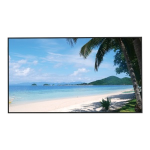 Monitor LED 4K 55" Dahua LM55-S400