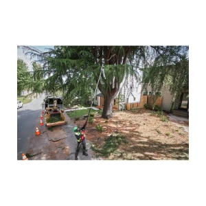 Fierastrau telescopic cu lant 30 cm M18 FTPS30-0, cuplu 1.9 Nm, 51 dinti, pas lant 8.3/ .325", Milwaukee, cod 4933480868 - Img 7