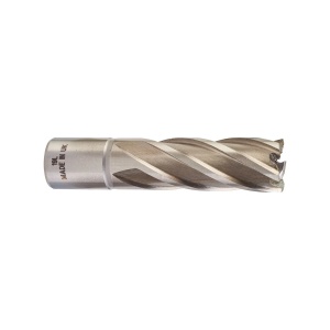 Carota HSS cu prindere Weldon de 19 mm, 19x50 mm, Milwaukee, cod 4932343294