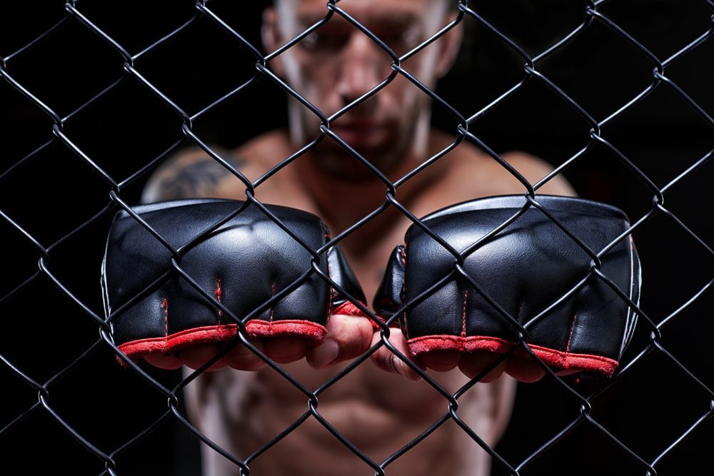 Totul despre MMA: cum a luat naștere acest sport de contact?