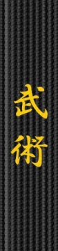 Broderie centura - Wushu