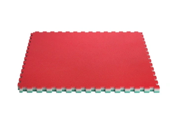ProGame Tatami Multisport Induction IJF educational - tatami Trocellen