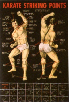 Poster arte marțiale H-218 - Puncte Vitale