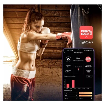 Boxing Punch Tracker Budo Best