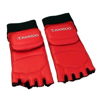 Botosei Taekwondo – Hansoo