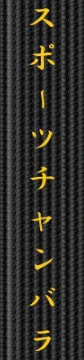 Broderie centura - Sports Chanbara