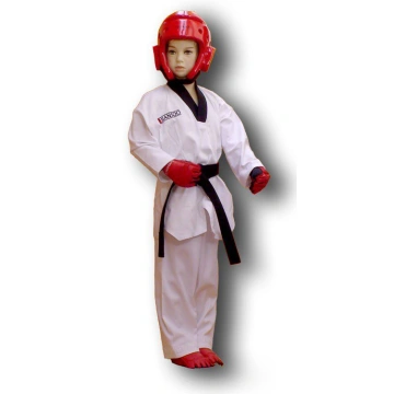 Dobok Hansoo