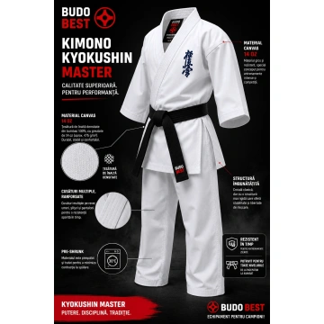 Karategi Kyokushin Master