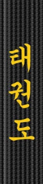 Broderie centura - Taekwondo
