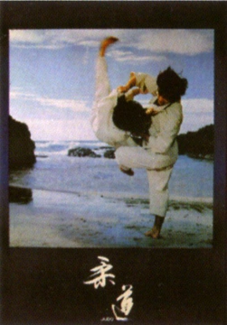 Poster arte marțiale H-224 Judo Lac