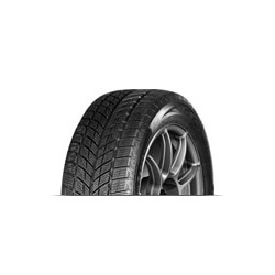 Fotografie Anvelopă Iarna AUTOGREEN AW09 215/45 R17 91 H XL C C 72 2 pentru prezentare în magazin