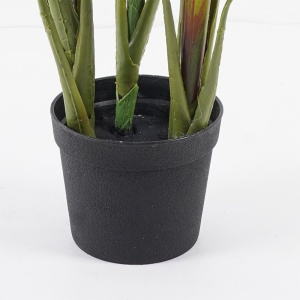 Διακοσμητικό φυτό με γλάστρα Cycas Πράσινο 55x55x80 cm - Img 3