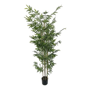 Διακοσμητικό φυτό Bamboo Πράσινο 190 cm