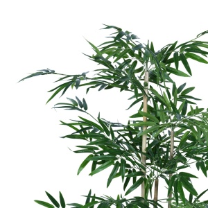 Διακοσμητικό φυτό Bamboo Pako World Μαύρο ύψος 130 cm - Img 2