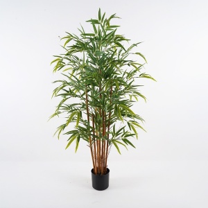 Διακοσμητικό φυτό Rhapis Palm Πράσινο 60x60x120 cm