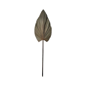 Διακοσμητικό φυτό Leafen Boho Pako World Natural 35x60x130 cm
