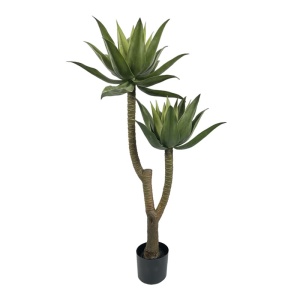 Διακοσμητικό φυτό Lotus Πράσινο 120 cm