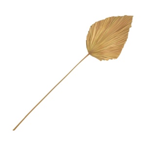 Διακοσμητικό φύλλο Walsy φυσικό H135 cm