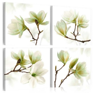 Πίνακας - Admiration of Magnolia 40x40 cm