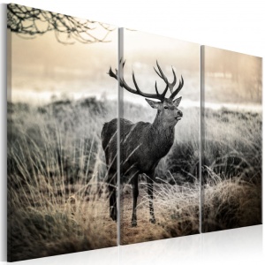 Πίνακας - Dangerous Horns I 120x80 cm