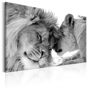 Πίνακας - Lion's Love 90x60 cm