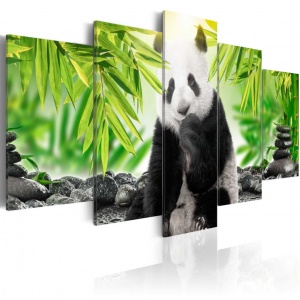Πίνακας - Sweet Little Panda 100x50 cm
