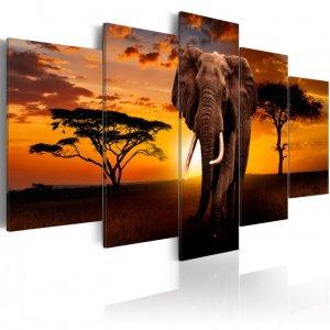 Πίνακας - The Savannah King 100x50 cm