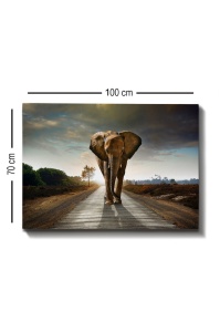 Πίνακας καμβά Πολύχρωμος 70x100 cm - Img 4