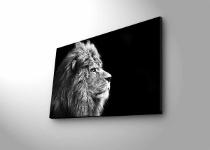 Πίνακας με LED 4570DHDACT Πολύχρωμο 45x70 cm - Img 4