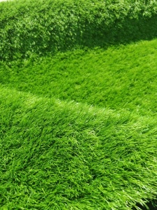 Gazon Artificial, Rhyno, Verde, 100x200 cm, Delta - Img 2