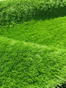 Gazon Artificial, Sri Lanka, Verde, 200x1800 cm, Delta - Img 2