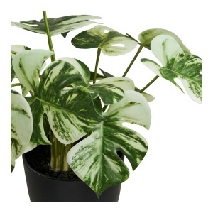 Planta artificiala decorativa Monstera Monstera, Verde, 26x26x41 cm - Img 4