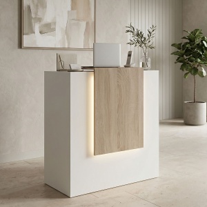 Receptie birou, Zowel, Alb, 40x90x110 cm