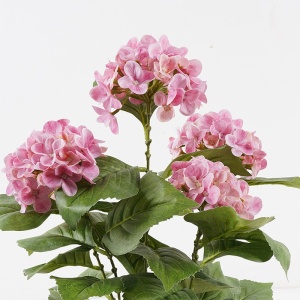 Διακοσμητικό φυτό με γλάστρα Hydrangea Απαλό Κίτρινο 35x35x50 cm - Img 2