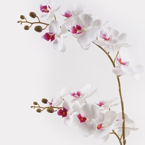 Διακοσμητικό φυτό με γλάστρα Orchid Λευκό 36x17x65 cm - Img 2