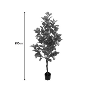 Διακοσμητικό φυτό Lemon tree Πράσινο 150 cm - Img 2
