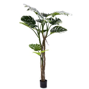 Διακοσμητικό φυτό Monstera III Pako World Μαύρο ύψος 180 cm