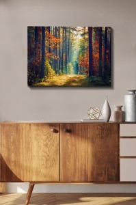Πίνακας καμβά Πολύχρωμος 50x70x3 cm