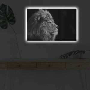 Πίνακας με LED 4570DHDACT Πολύχρωμο 45x70 cm