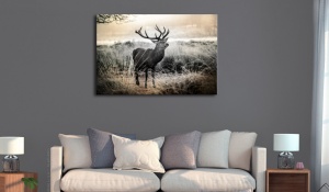 Πίνακας - Dangerous Horns 90x60 cm - Img 2