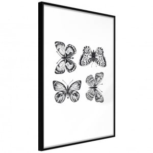 Πόστερ - Butterfly Collection III, με μαύρη κορνίζα, 30x45 cm