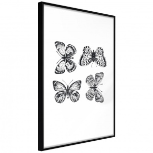 Πόστερ - Butterfly Collection III, με μαύρη κορνίζα, 30x45 cm