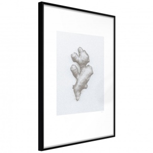 Πόστερ - Ginger Rhizome, με μαύρη κορνίζα, 20x30 cm